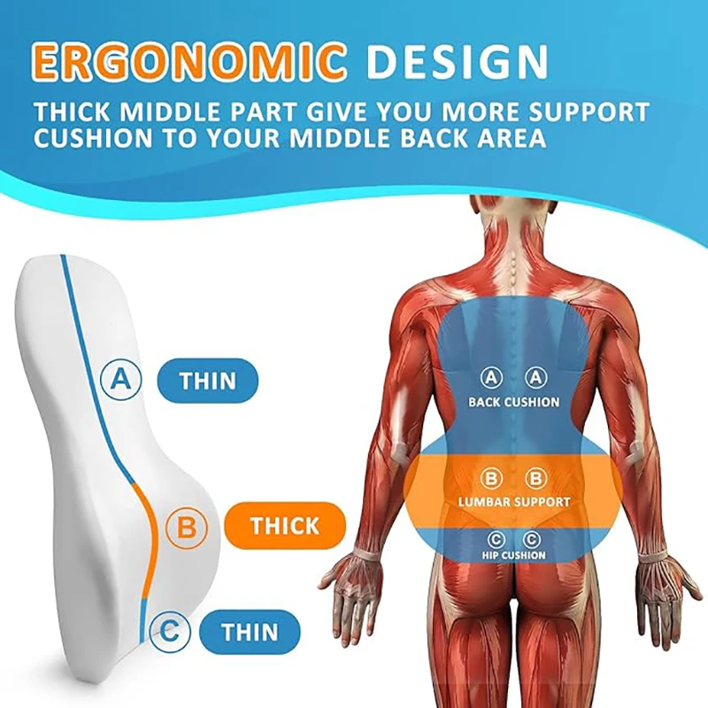 Lumbar Support Pillow for Offi - Home Improvement Cars reseña y precio