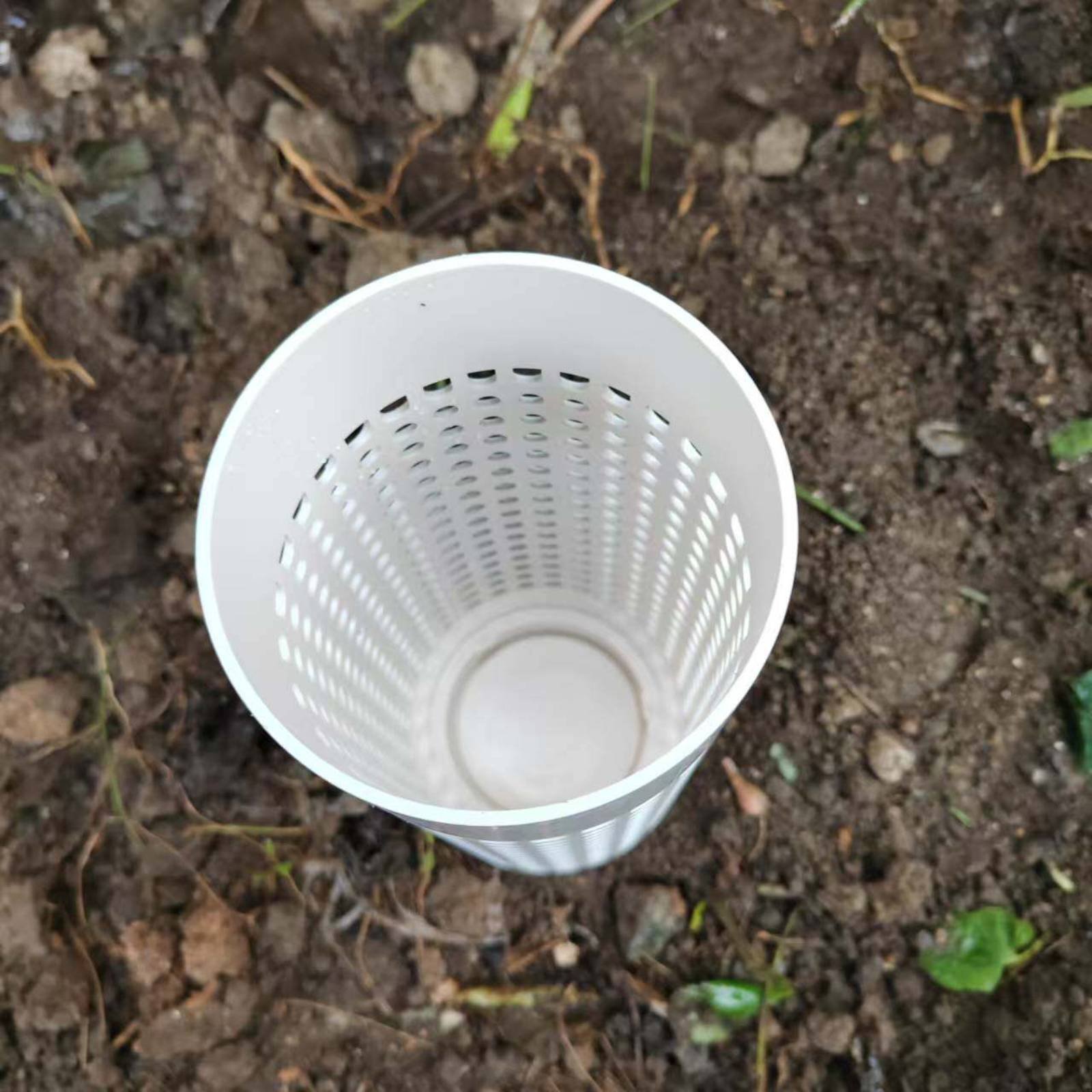Composting Creature Compost Tu - Home Improvement And Supply reseña y precio